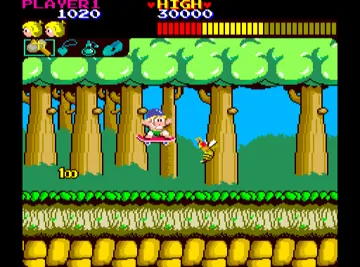 Wonder Boy Deluxe screen shot game playing